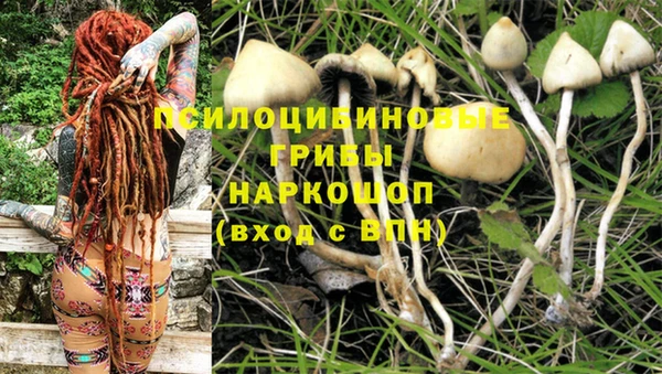 марихуана Богородицк