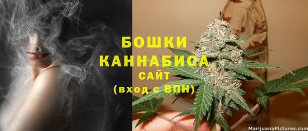 ПСИЛОЦИБИНОВЫЕ ГРИБЫ Богородск